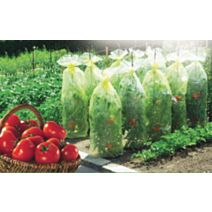 Housse de croissance tomate Tomatotube - NORTENE