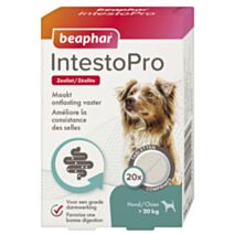 Comprime Intestopro chien >20kg x20 - BEAPHAR