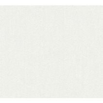 Papier Peint Vinylt Vinyl Expansé Blanc Granite Fin 5,3m² - AS CREATION