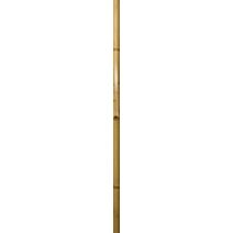 Tuteur bambou déco 200cm 7cm - WINDHAGER