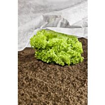 VOILE DE CROISSANCE ECOLO