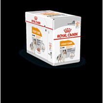 Croquette Chien Coat Care Mousse 12x85gr - ROYAL CANIN