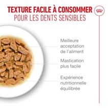 Sauce chat Ageing 11+ 12x85g - ROYAL CANIN