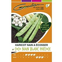 Graines Haricot Nain à Ecosser Coco Nain Blanc Précoce - GONDIAN
