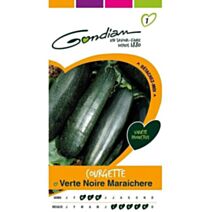 Graines Courgette Verte Noire Maraichere - GONDIAN