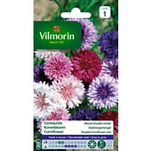 Graines Centaurée Bleuet Double Variée - VILMORIN