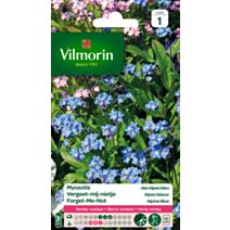 Graines Myosotis des Alpes Bleu - VILMORIN