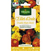 Graines Œillet d'Inde Double Nain Varié - VILMORIN