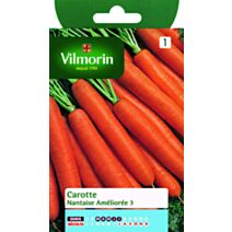 Graines Carotte Nantaise Améliorée 3 - VILMORIN