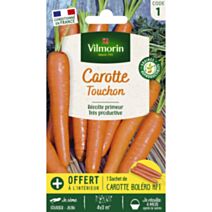 Graines Carotte Touchon - VILMORIN