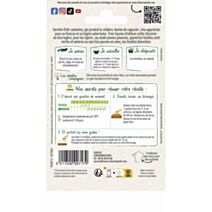 Graines Chicorée à Feuilles Sauvage Amère - VILMORIN