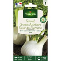 Graines Fenouil Doux de Florence - VILMORIN