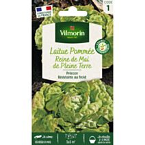 Graines Laitue Pommée Reine de Mai de Pleine Terre - VILMORIN