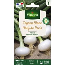 Graines Oignon Blanc Hâtif de Paris - VILMORIN