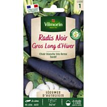 Graines Radis Noir Gros Long d'Hiver - VILMORIN