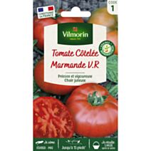 Graines Tomate Marmande V.R - VILMORIN