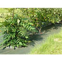 Toile de Paillage Tissée 20m Standard 1,05x20m Verte - TERLIA