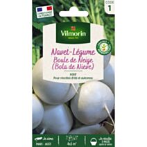 Graines Navet Légume Rond Boule de Neige - VILMORIN