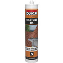 Colotuile MS