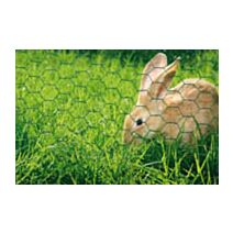 Grillage hexagonal acier plastifié vert maille 13x13mm 1x3m - IDEAL GARDEN