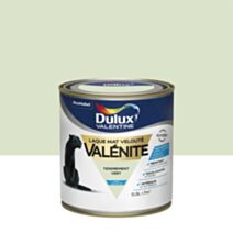 Peinture Laque Boiseries et Ferronnerie Valénite Tendrement Vert Mat 0,5L - DULUX VALENTINE