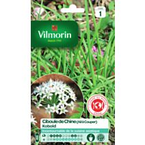 Graines Ciboule de Chine Kobold - VILMORIN