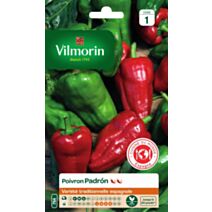 Graines Poivron Padrón - VILMORIN