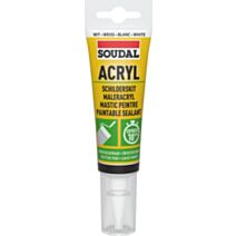 MASTIC ACRYLIQUE PEINTRE EXPRESS 80ML