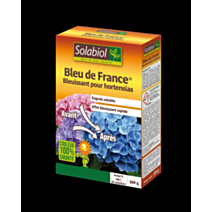 Bleu de france 500g
