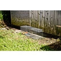 Piège à martres & fouines