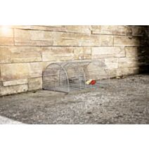 Nasse à rats multiprises