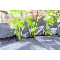 Film anti-mauv herbes anti weed + 0,9x15m noir 33g/m²