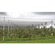 Filet paragrêle 5x4m 8mm