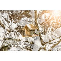 Mangeoire pour oiseaux garden