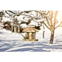 Mangeoire pour oiseaux wilder kaiser