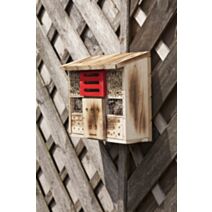 Hôtel à insectes au tilleul