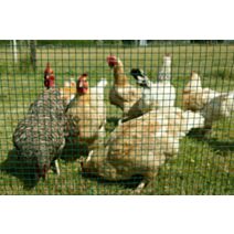 Grillage soudé vert aravis - ht 1.00m - DIRICKX