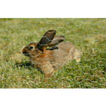 Grillage TTX Galvanisé Ht 1.00m - Rouleau 25m - DIRICKX