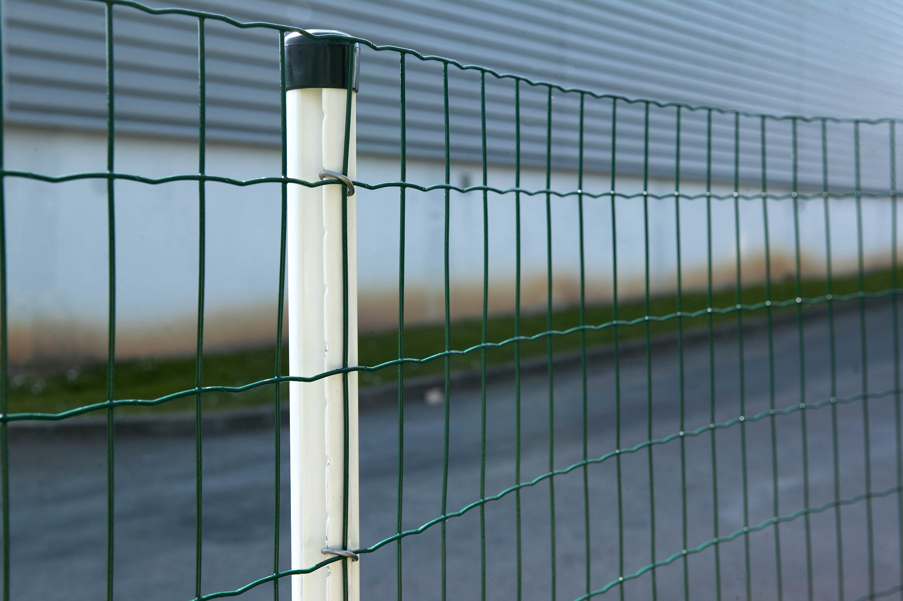 Grillage en Rouleau Soudé Vert Axial Super 250 25x2m - DIRICKX