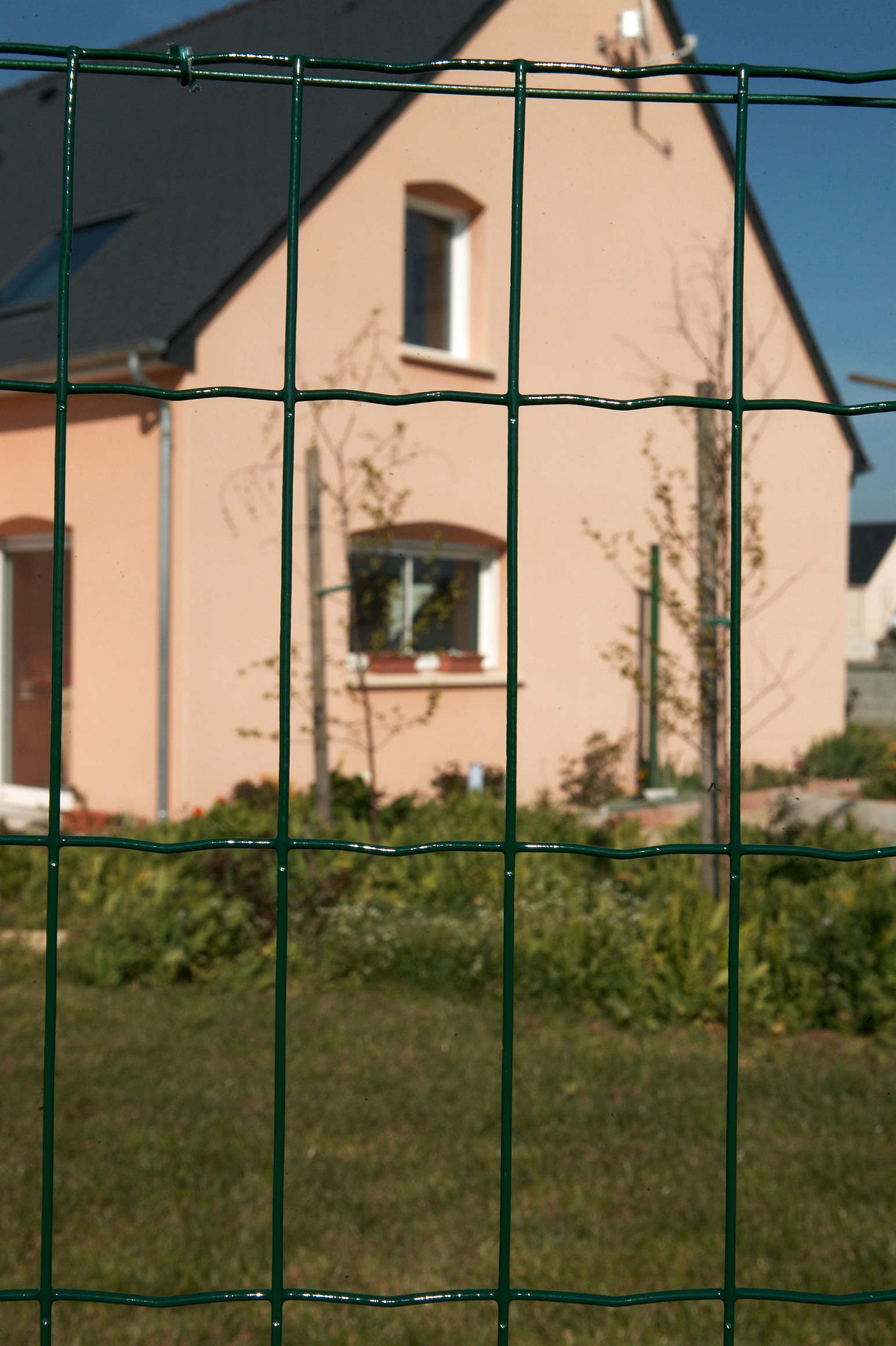 Grillage en Rouleau Soudé Vert Axial Super 220 25x1m - DIRICKX