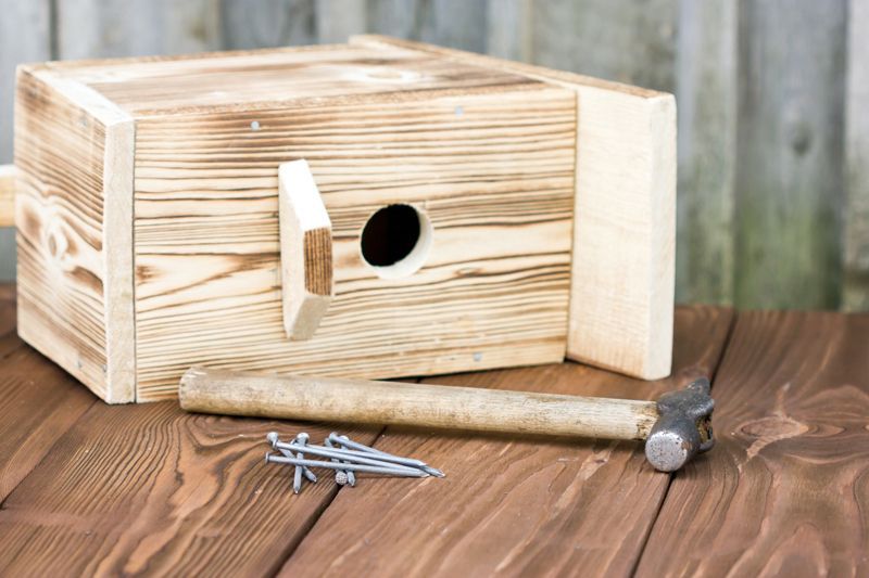 nichoir en bois