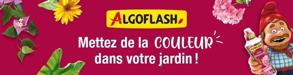 bannière compo